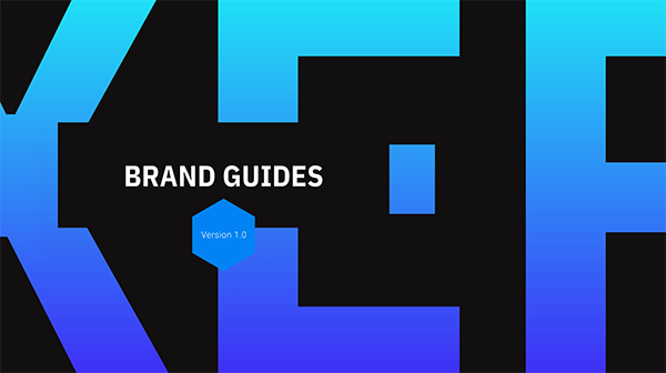 Electra Protocol brand guide - branding kit - corporate design