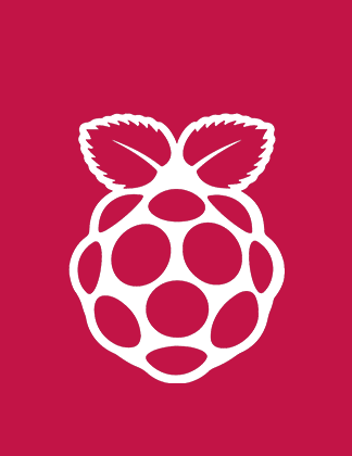 Raspberry Pi logo image