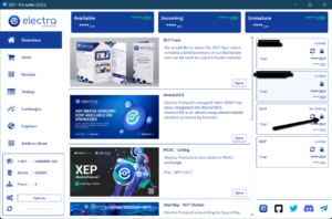 screenshot of the pro wallet