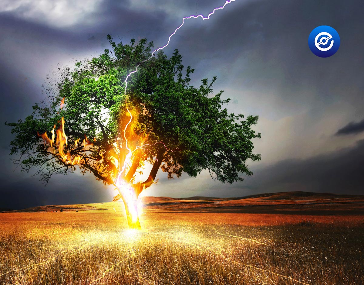 Upcoming innovations - Ultrafast Blockchain - XEP - mega fast blockchain - Electra Protocol - Smart Contracts - XEP - tree